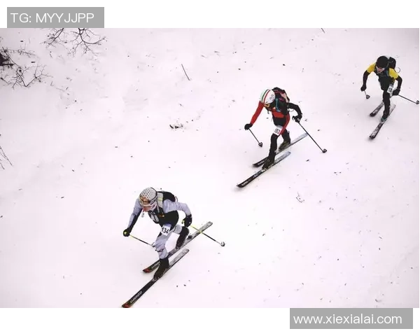 西安乒乓球队在钻石联赛中的耐力表现与战术分析