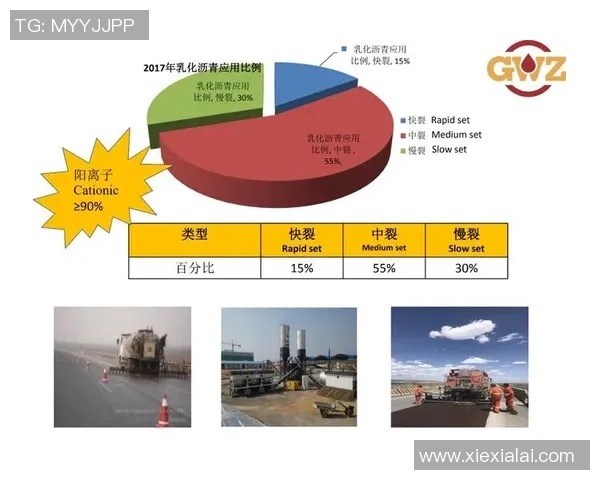 重庆排球队快攻战术解析与实战应用探讨